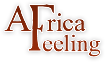 Africa Feeling lanceert De Master Challenge
