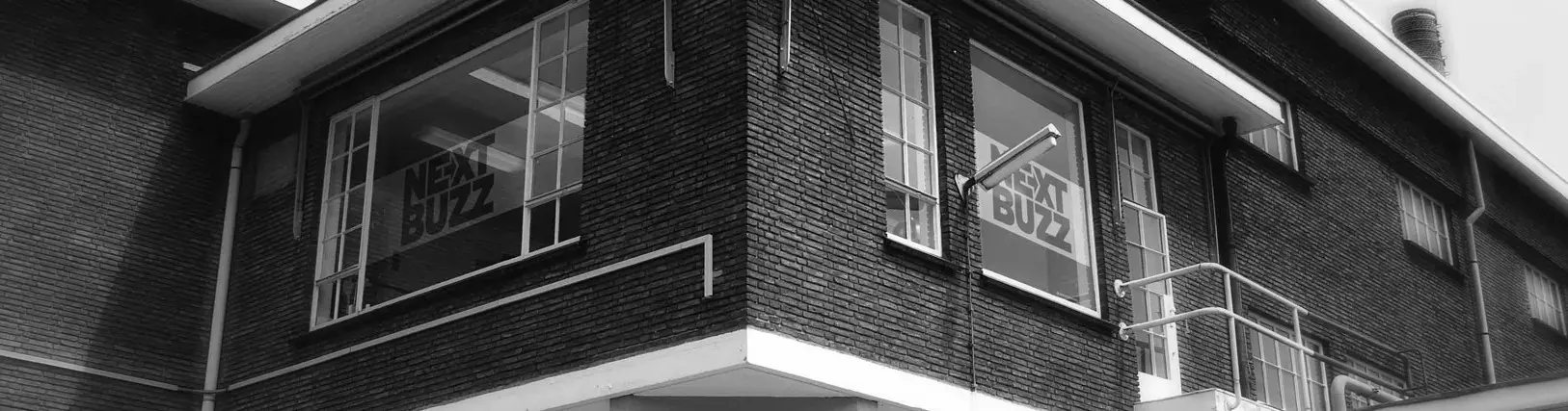 Next Buzz BV, Edwin Weijzen