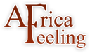 Africa Feeling